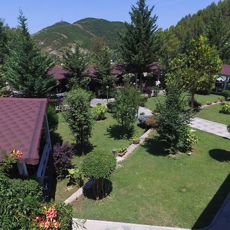 Hotel Elvis Mjull-Bathore Екстер'єр фото